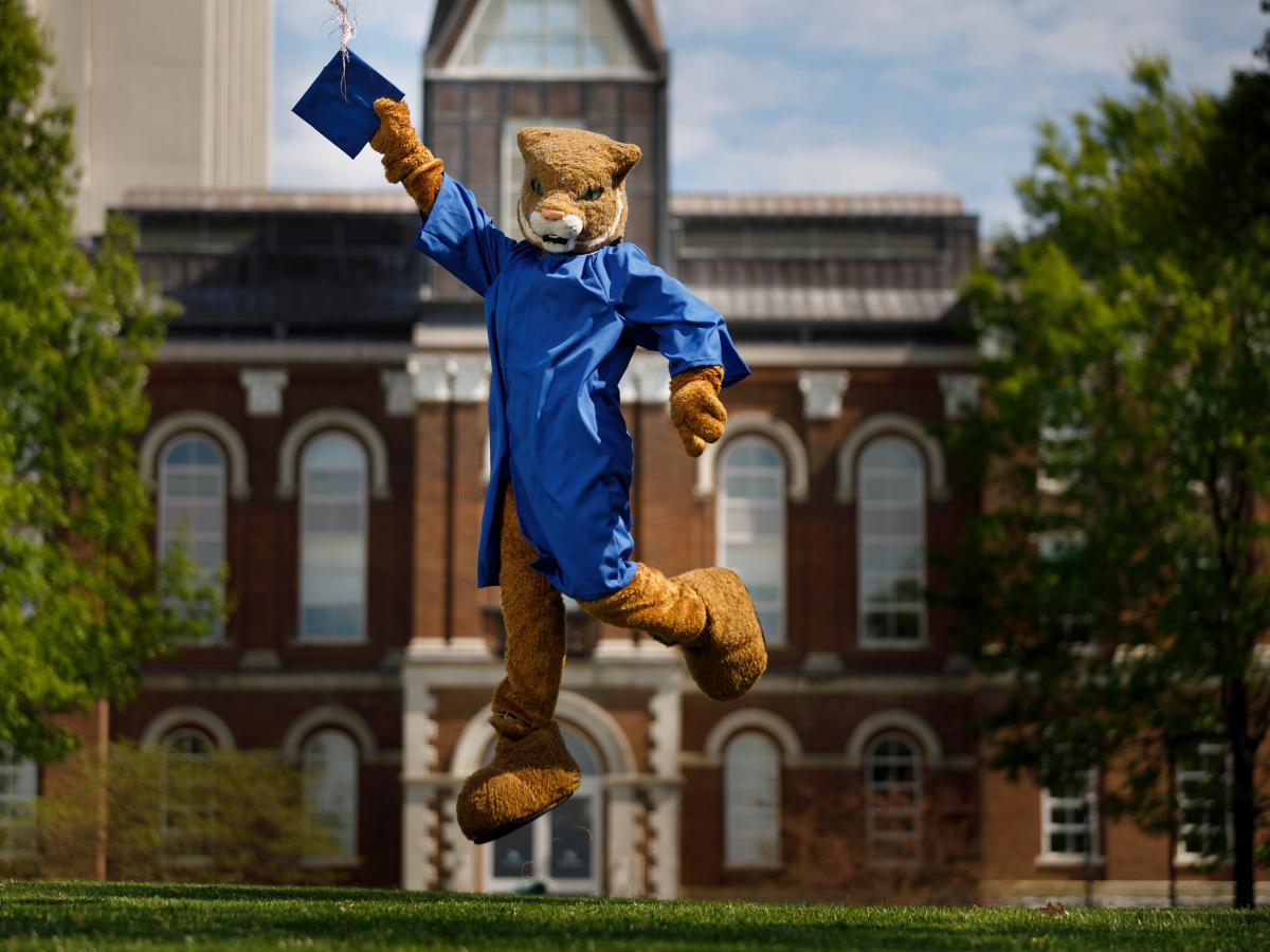 Wiley Wildcat in a Commencement Cap and Gown