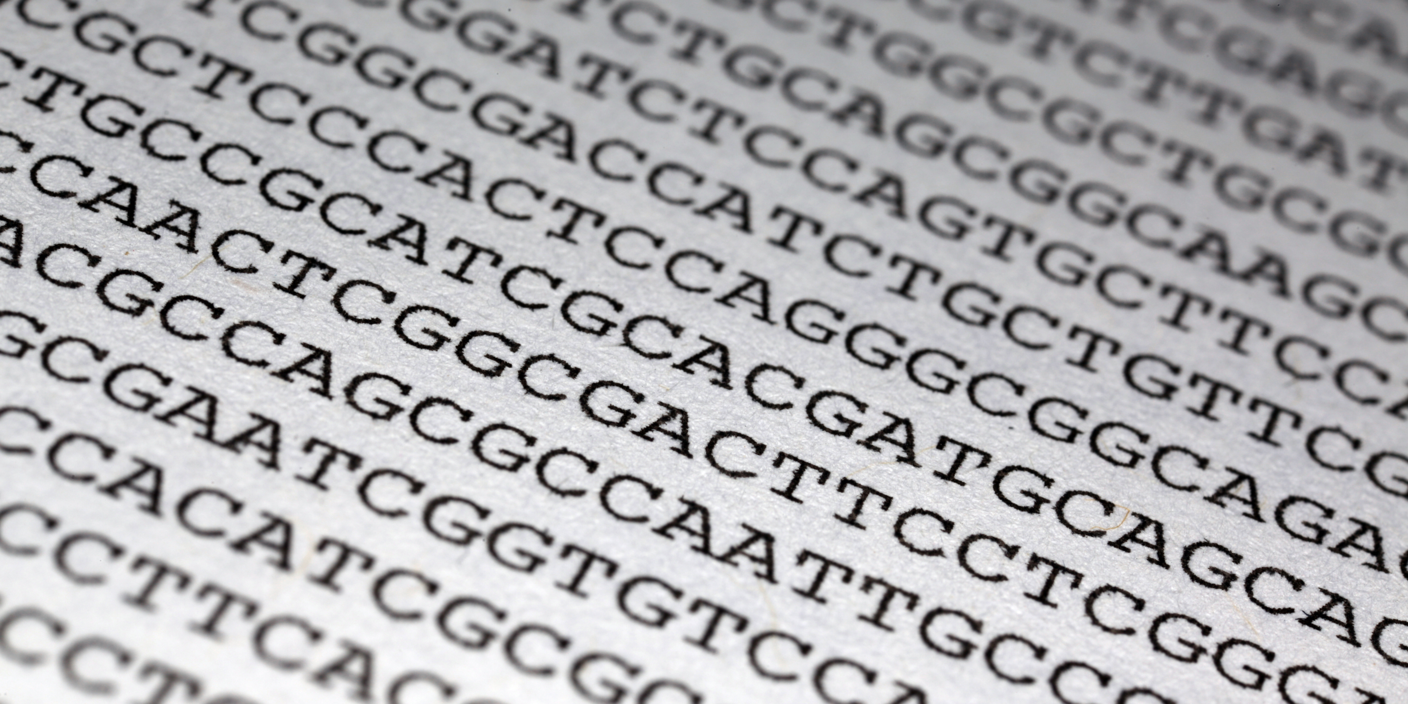 Genetic sequence on paper