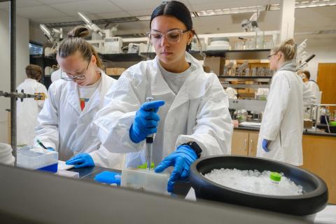 Students work in a lab for ABT 495